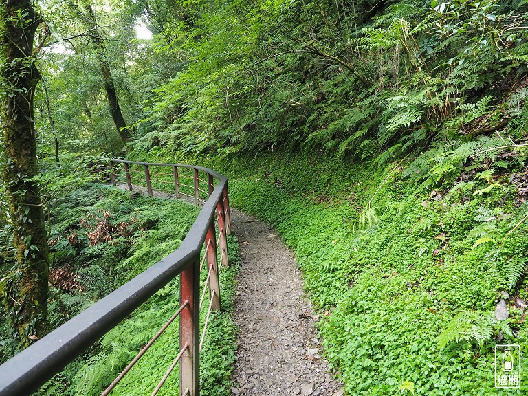 拉拉山神木群步道