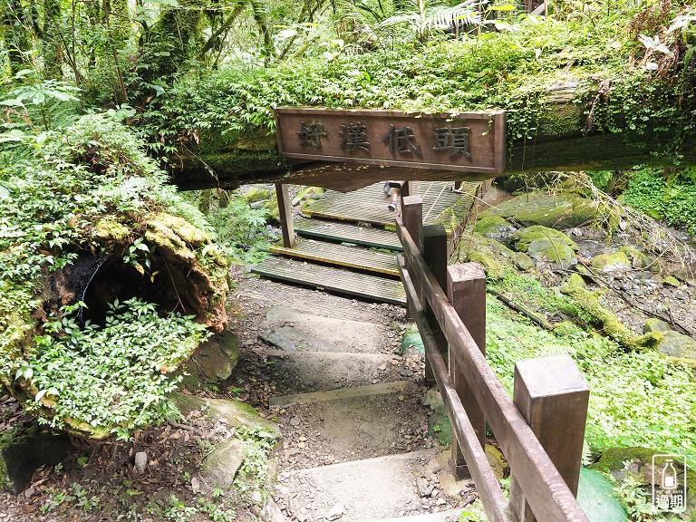 拉拉山神木群步道