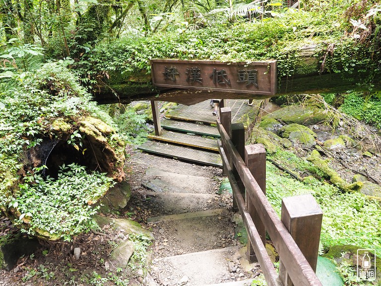 拉拉山神木群步道