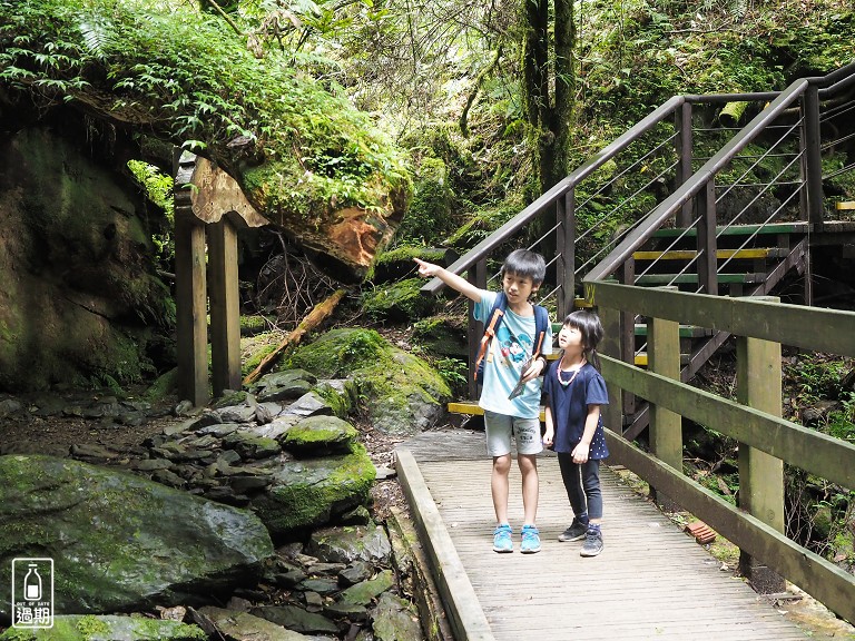 拉拉山神木群步道