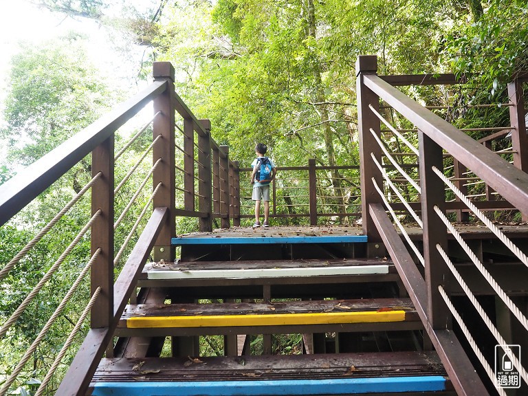 拉拉山神木群步道