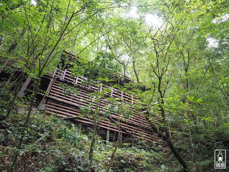 拉拉山神木群步道