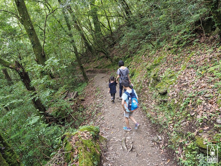 拉拉山神木群步道