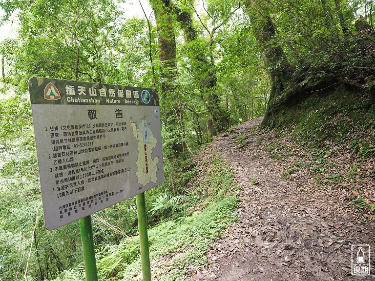 拉拉山神木群步道