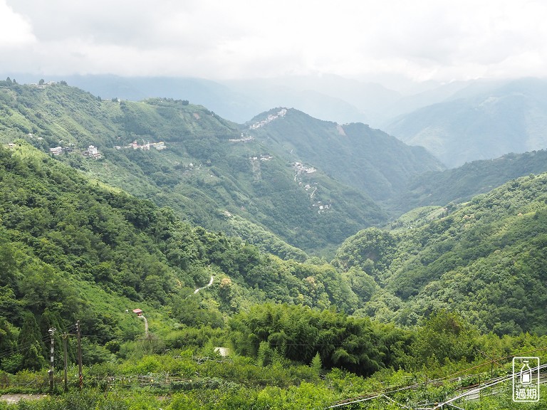 拉拉山神木群步道