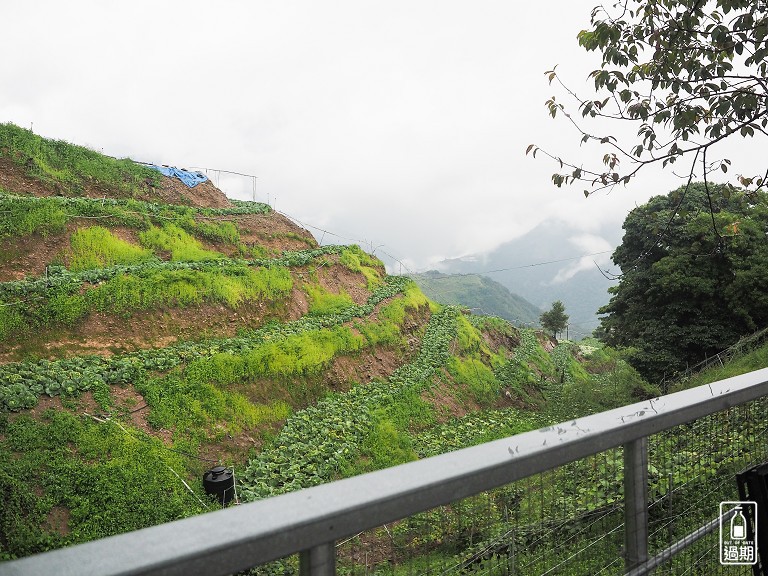 清境小太陽露營區