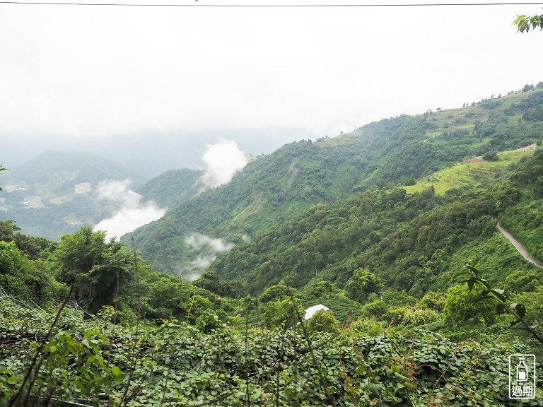 清境小太陽露營區