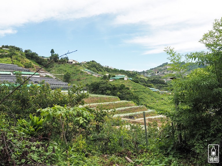 清境小太陽露營區