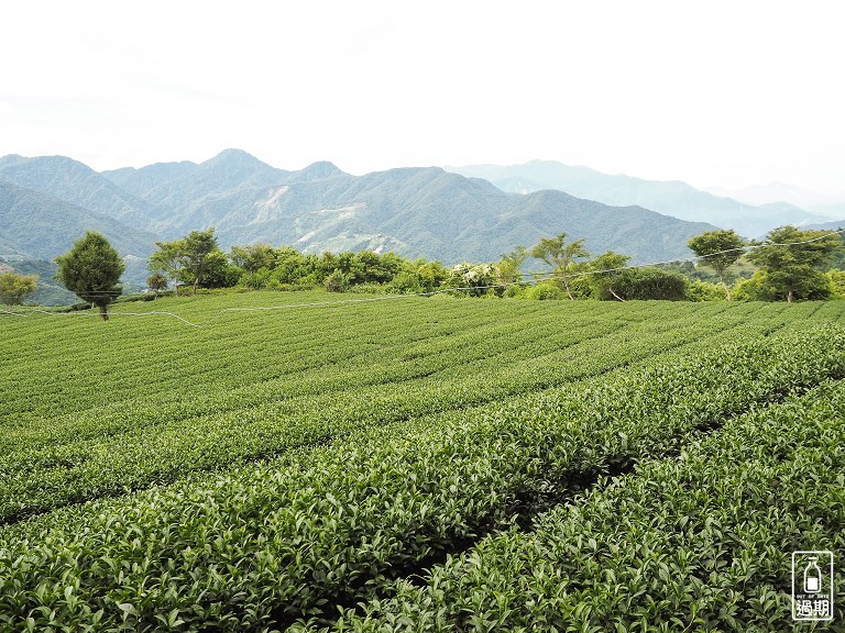 清境小太陽露營區