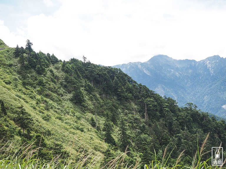 合歡山主峰