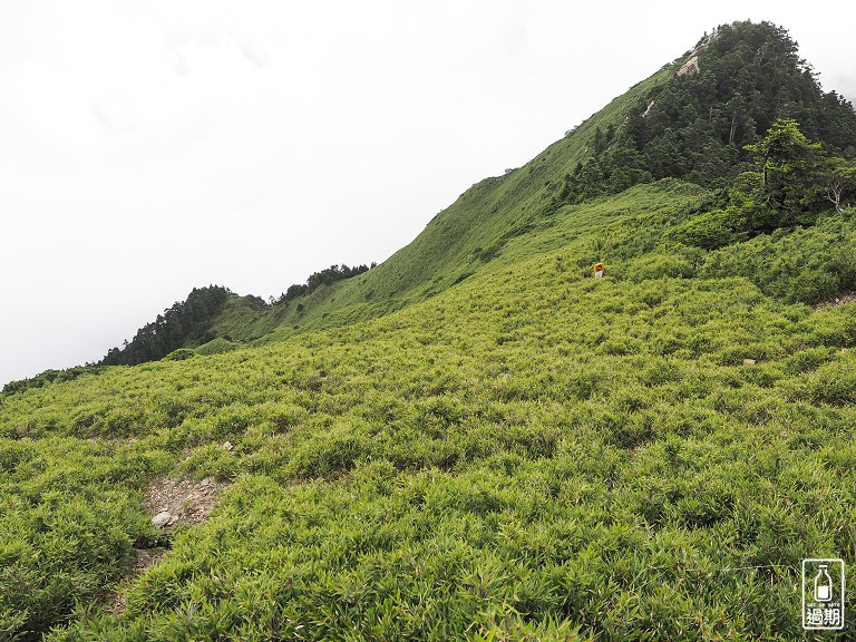 合歡山主峰