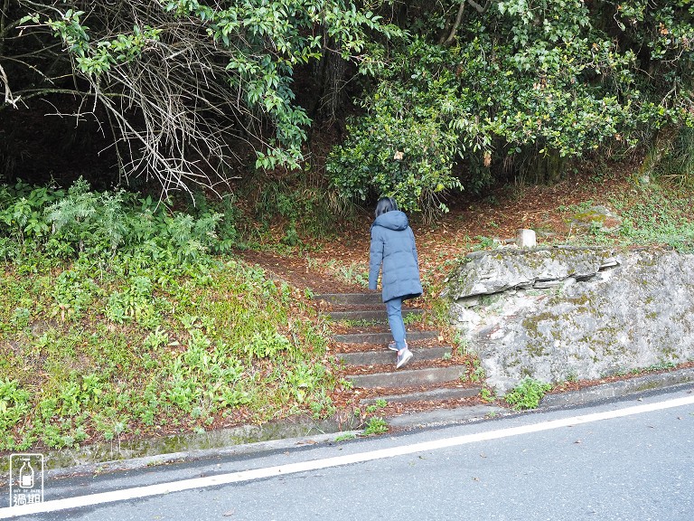 關原森林步道