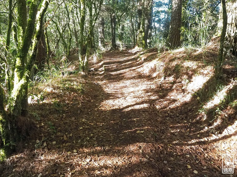 關原森林步道