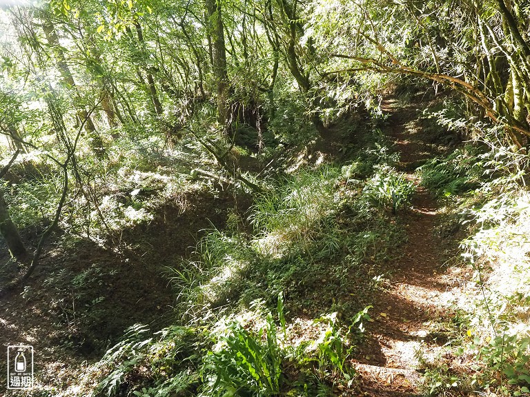 關原森林步道