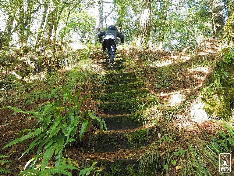 關原森林步道