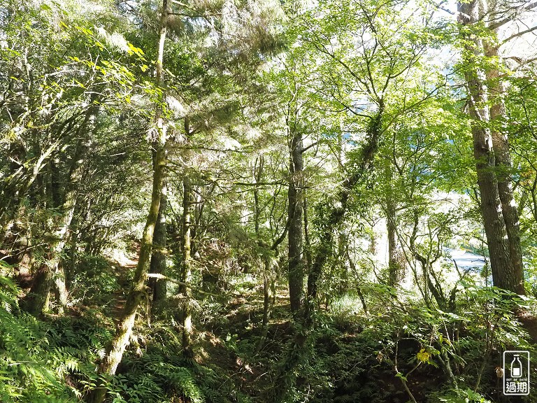 關原森林步道