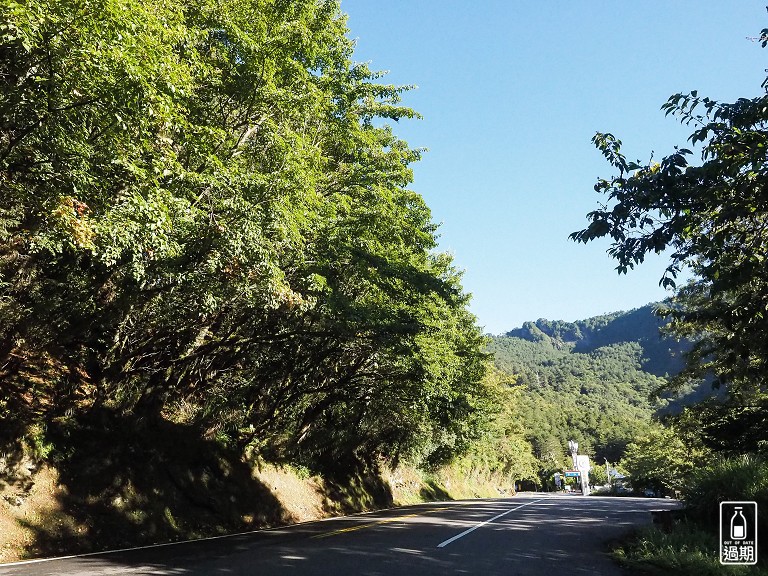 關原森林步道