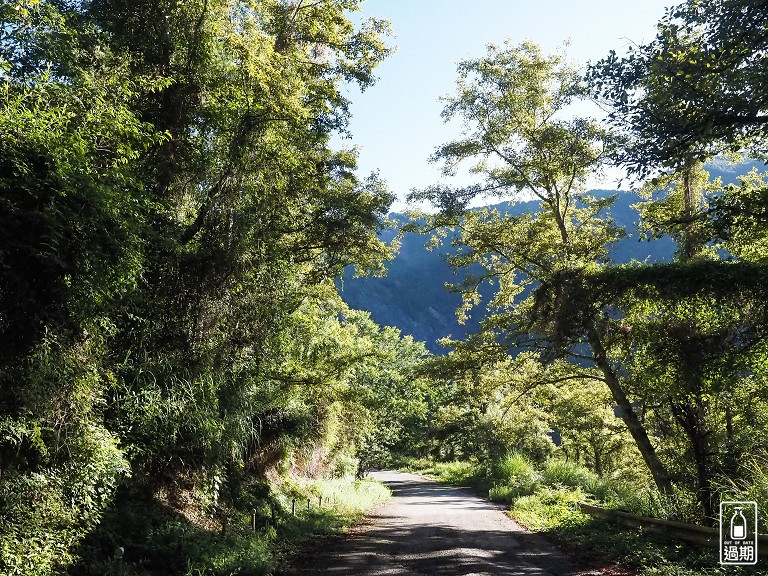 關原森林步道