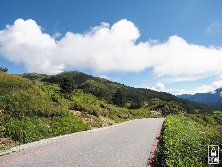 關原森林步道