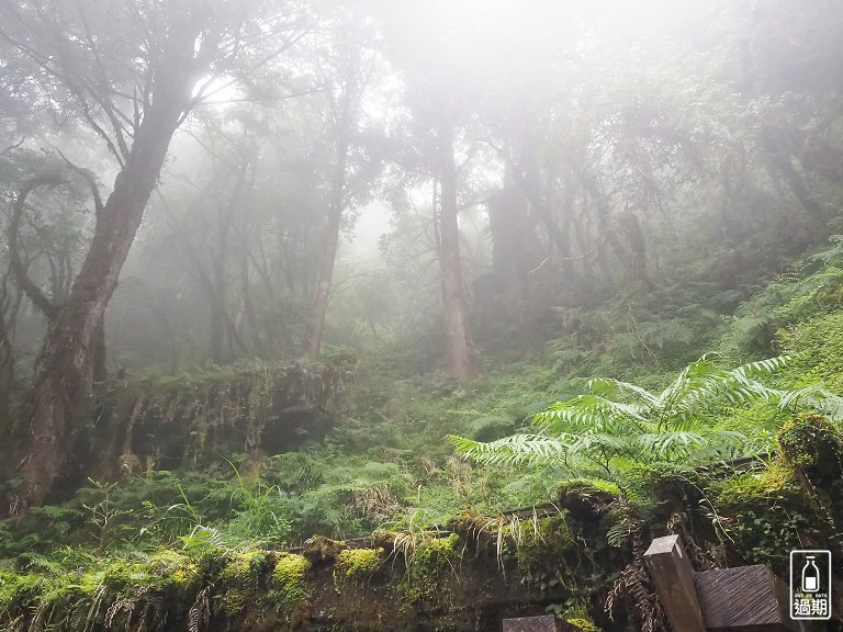 見晴懷古步道