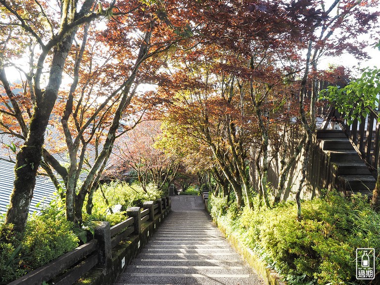 太平山莊紅葉道-鎮安宮-檜木原始林步道