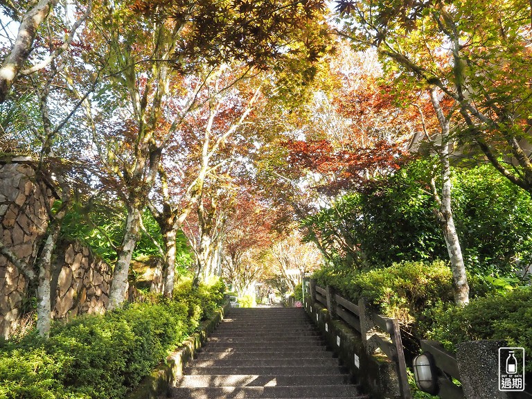 太平山莊紅葉道-鎮安宮-檜木原始林步道