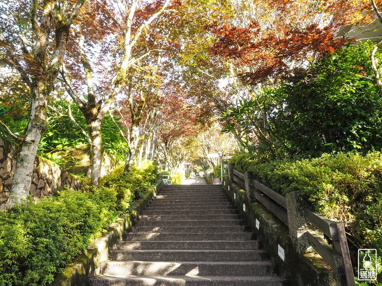 太平山莊紅葉道-鎮安宮-檜木原始林步道