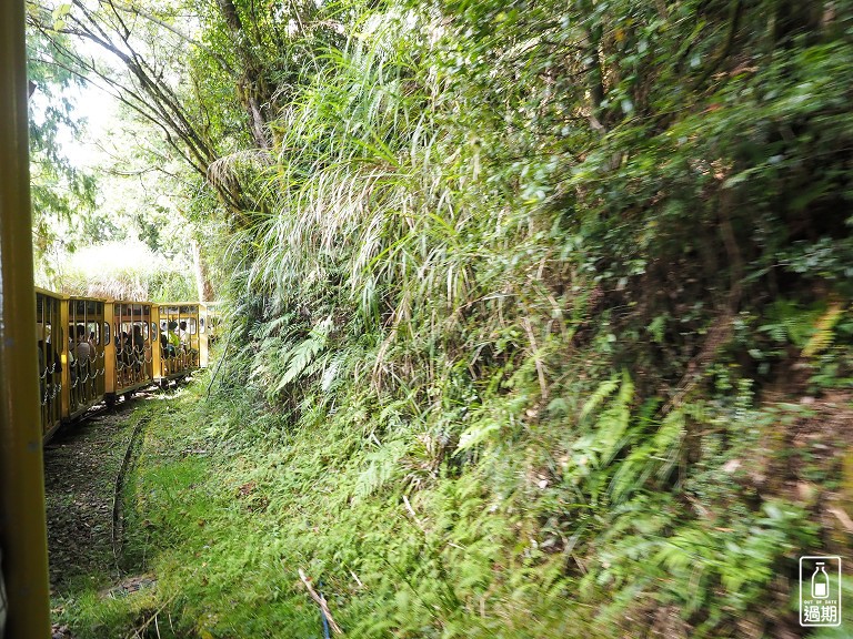 太平山蹦蹦車