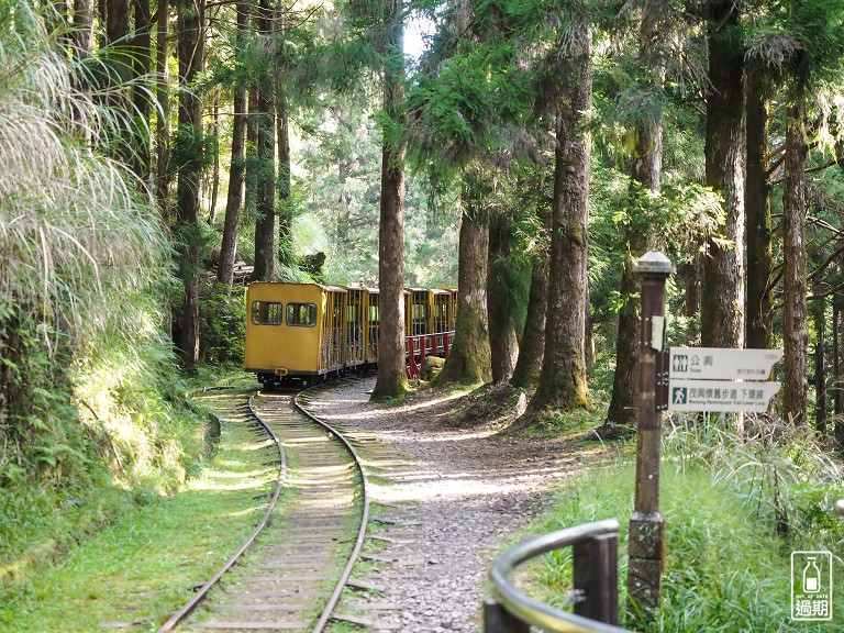 太平山蹦蹦車