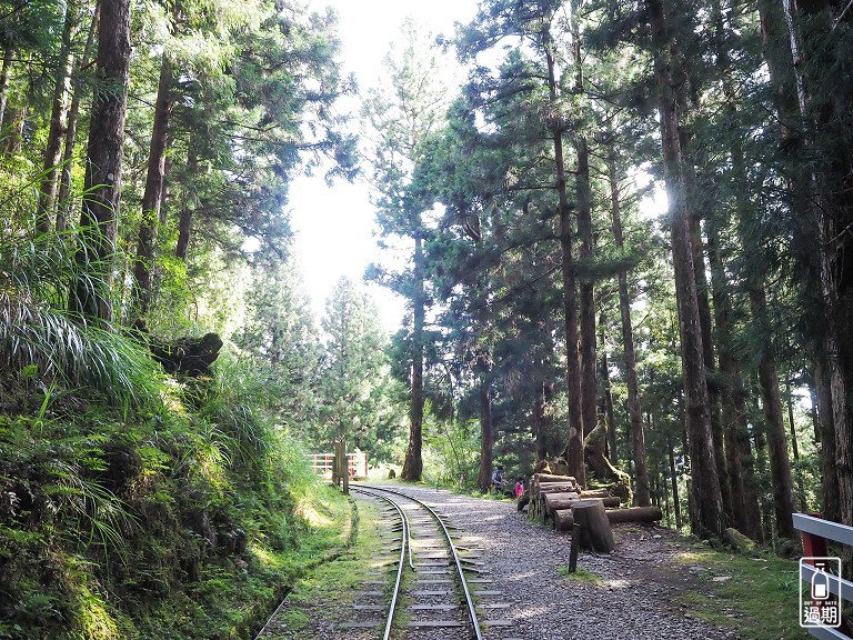 太平山蹦蹦車