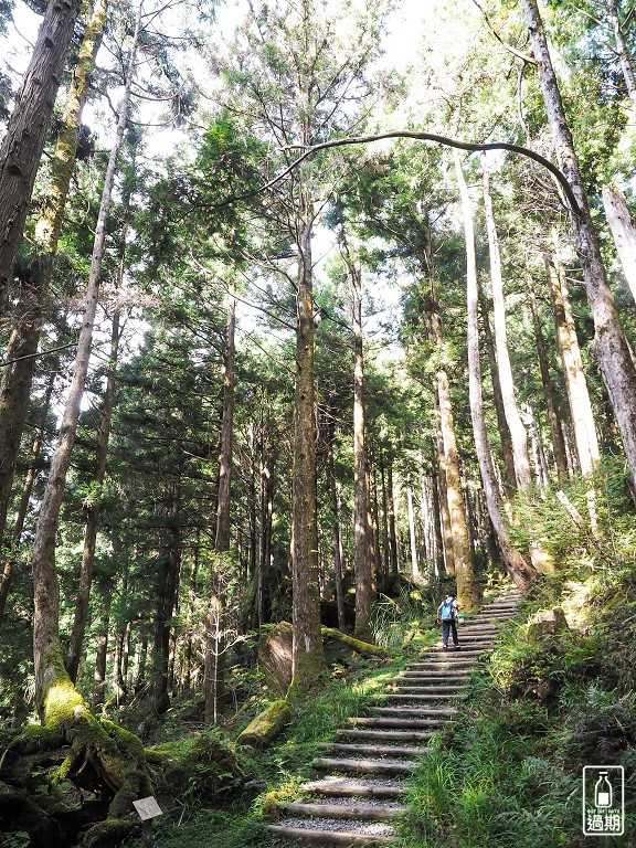 太平山蹦蹦車