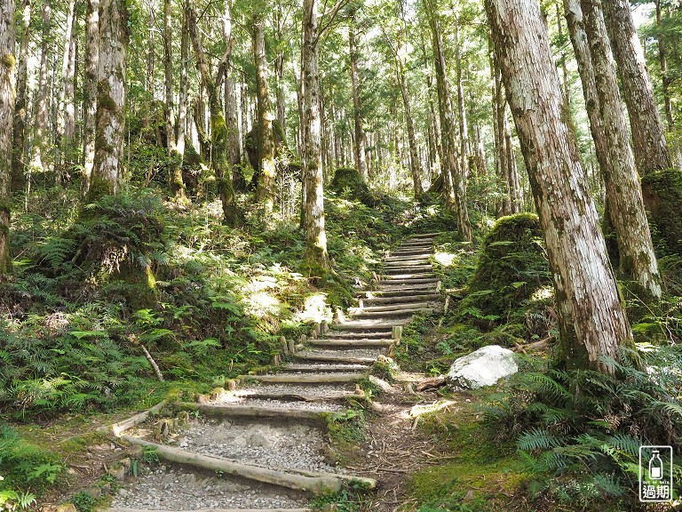 太平山蹦蹦車