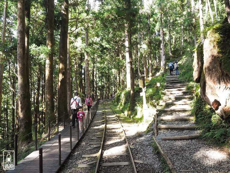 太平山蹦蹦車