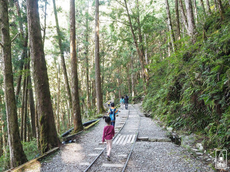 太平山蹦蹦車