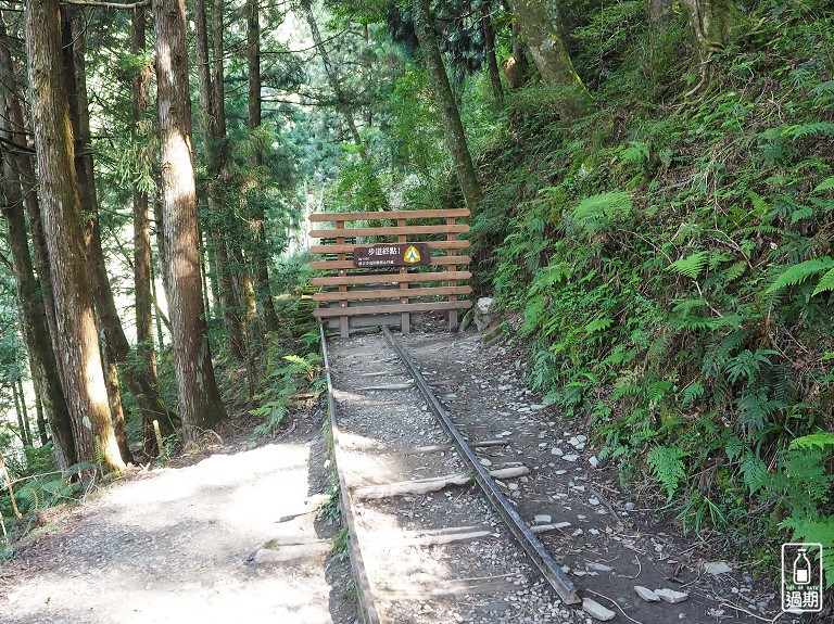 太平山蹦蹦車