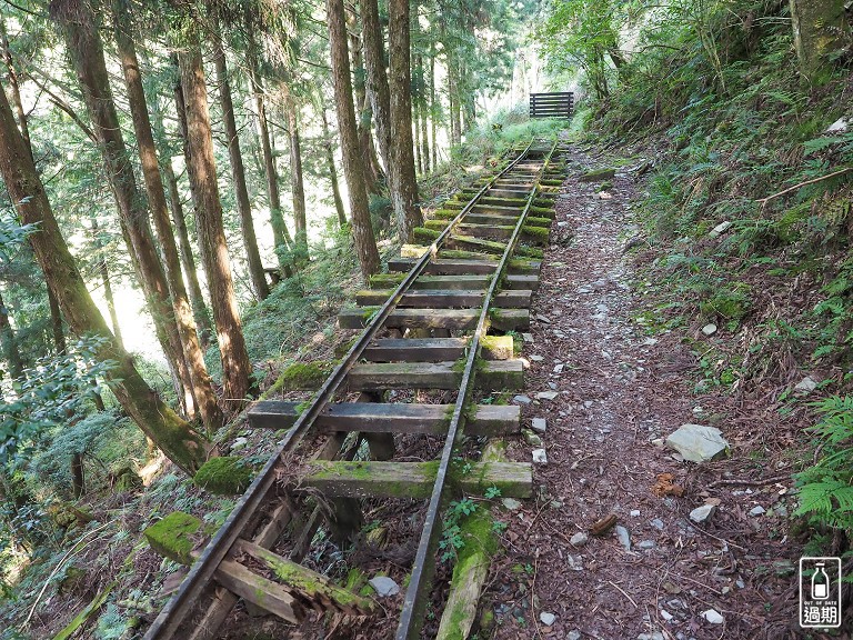 太平山蹦蹦車