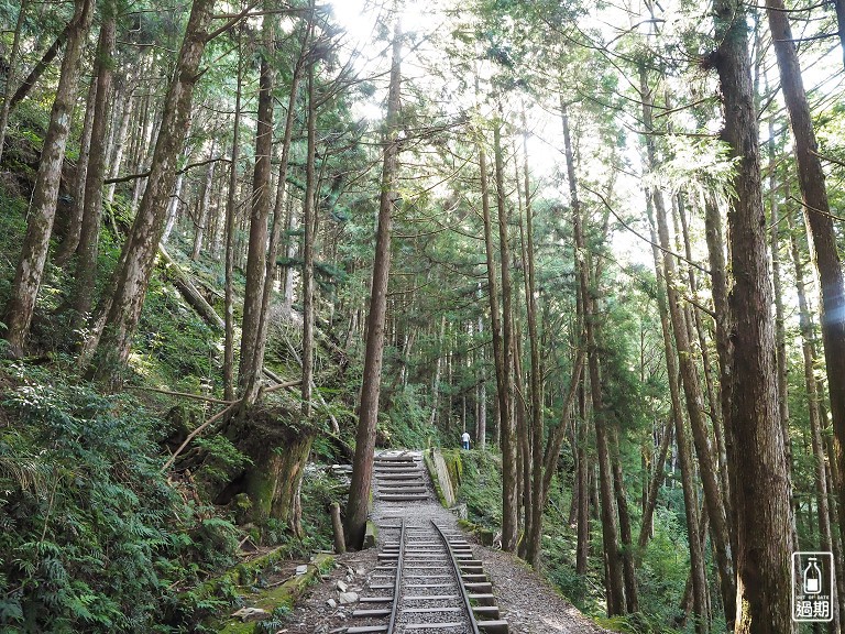 太平山蹦蹦車