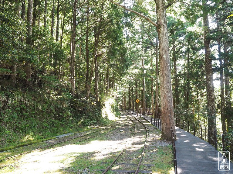 太平山蹦蹦車