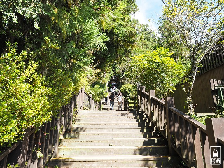 太平山莊紅葉道-鎮安宮-檜木原始林步道