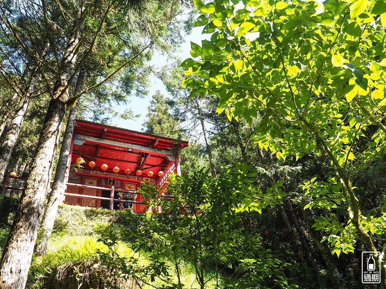 太平山莊紅葉道-鎮安宮-檜木原始林步道