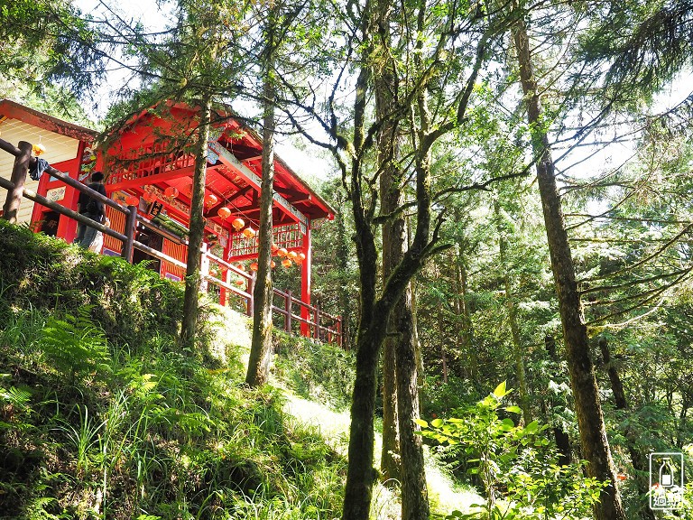 太平山莊紅葉道-鎮安宮-檜木原始林步道