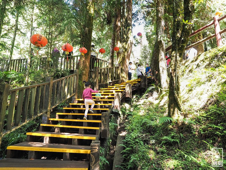 太平山莊紅葉道-鎮安宮-檜木原始林步道