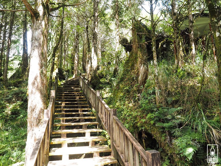 太平山莊紅葉道-鎮安宮-檜木原始林步道