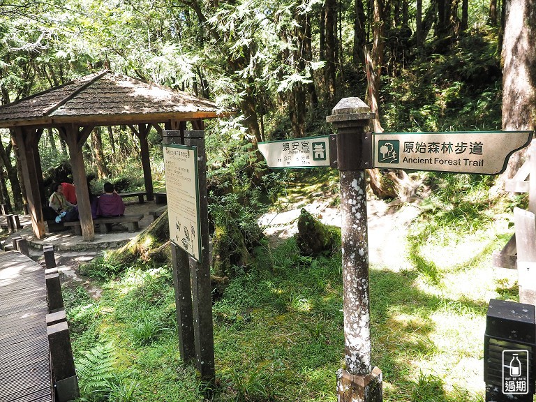 太平山莊紅葉道-鎮安宮-檜木原始林步道