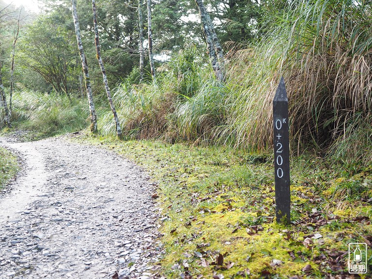 山毛櫸國家步道