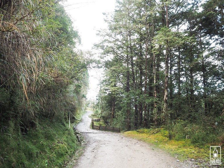 山毛櫸國家步道