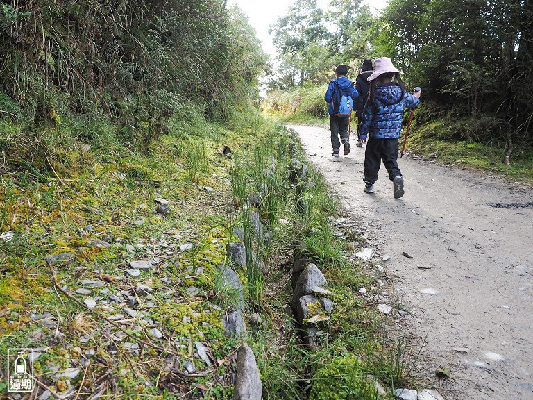 山毛櫸國家步道