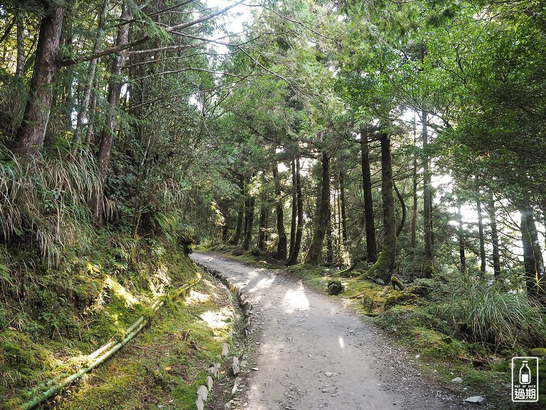 山毛櫸國家步道