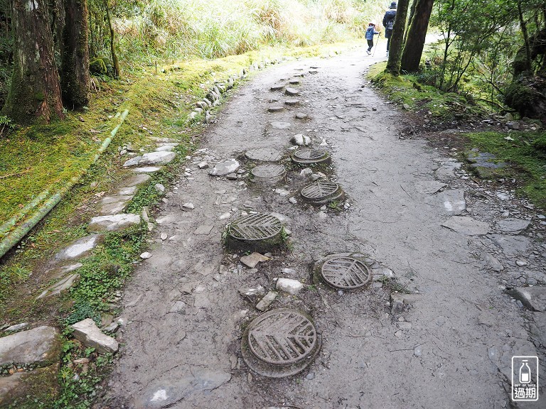 山毛櫸國家步道