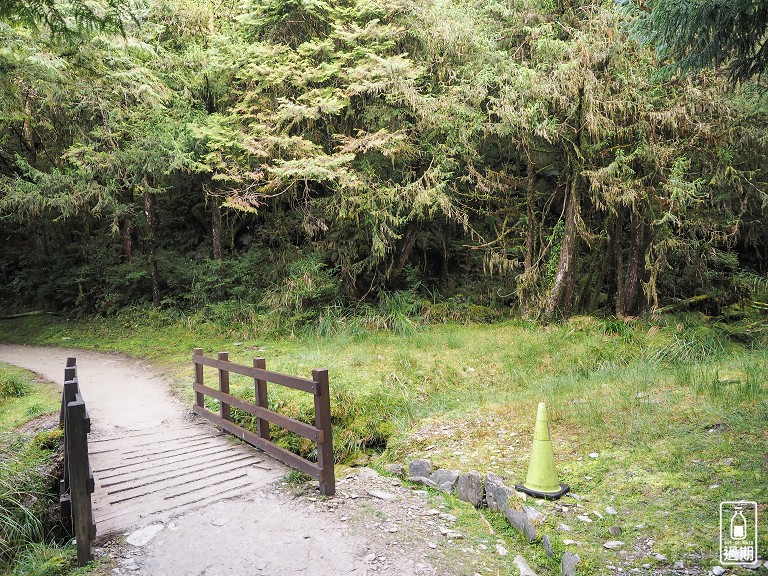 山毛櫸國家步道